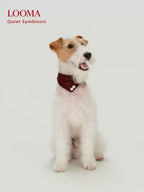 English-Style Pet Triangular Scarf Collar