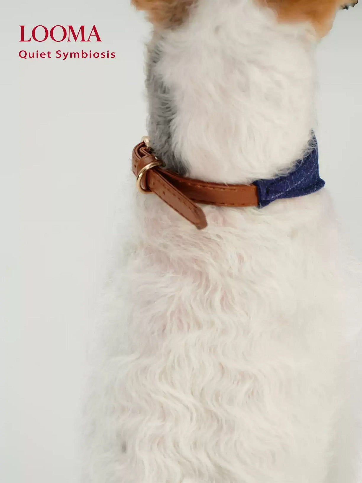 English-Style Pet Triangular Scarf Collar