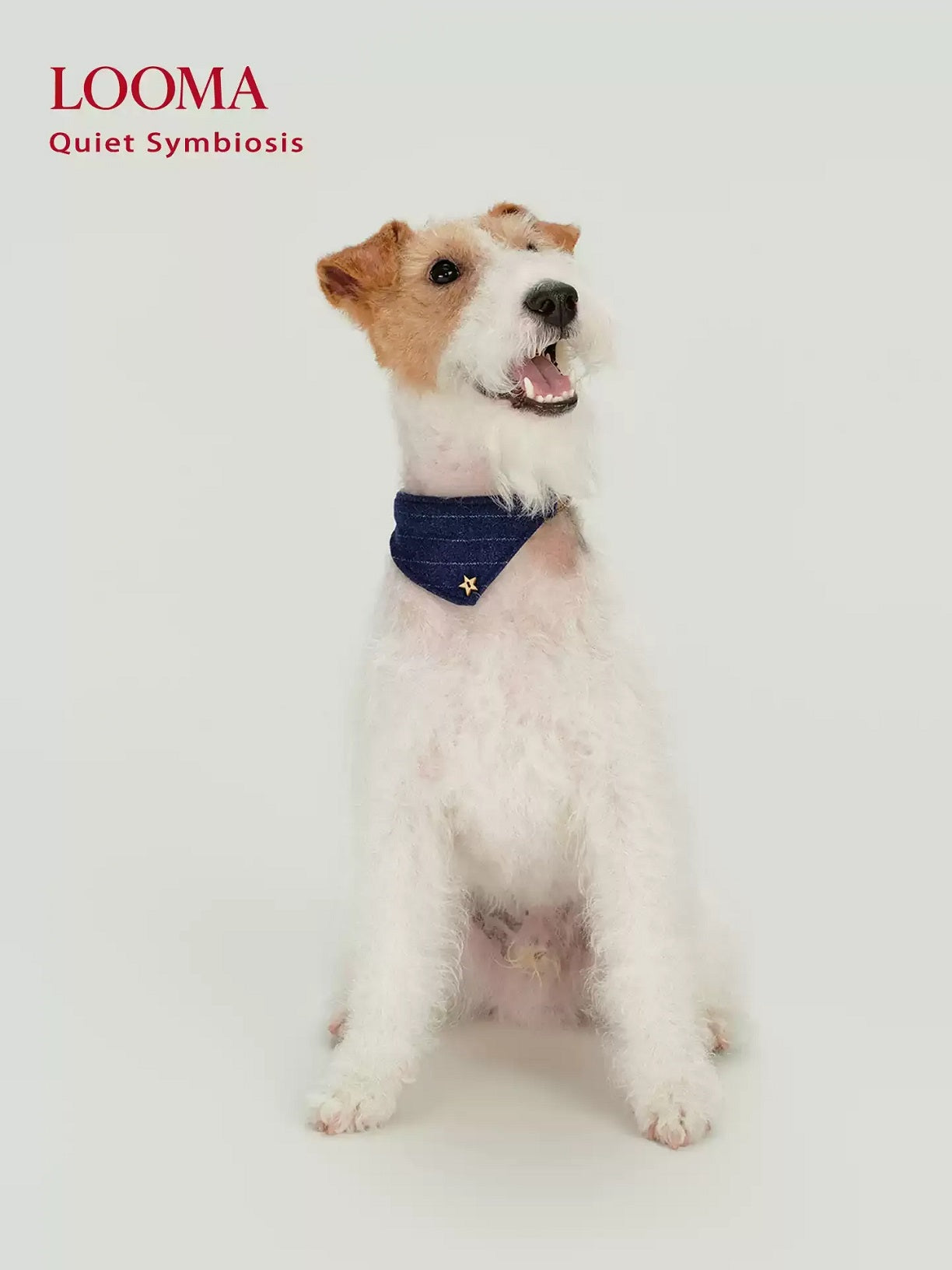 English-Style Pet Triangular Scarf Collar