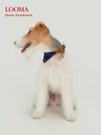 English-Style Pet Triangular Scarf Collar