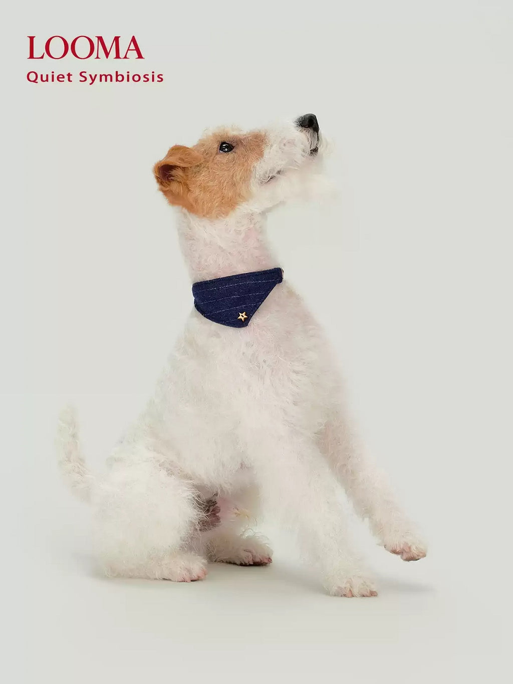 English-Style Pet Triangular Scarf Collar