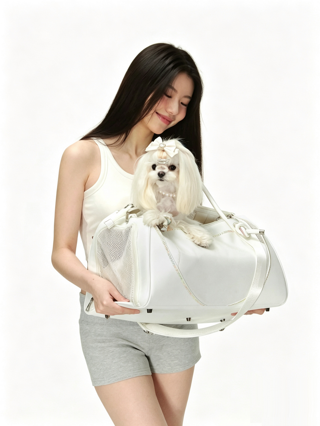 Fashionable And Portable Pet Air Travel Bag