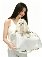 Fashionable And Portable Pet Air Travel Bag