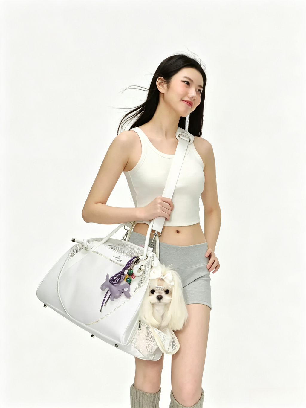 Fashionable And Portable Pet Air Travel Bag