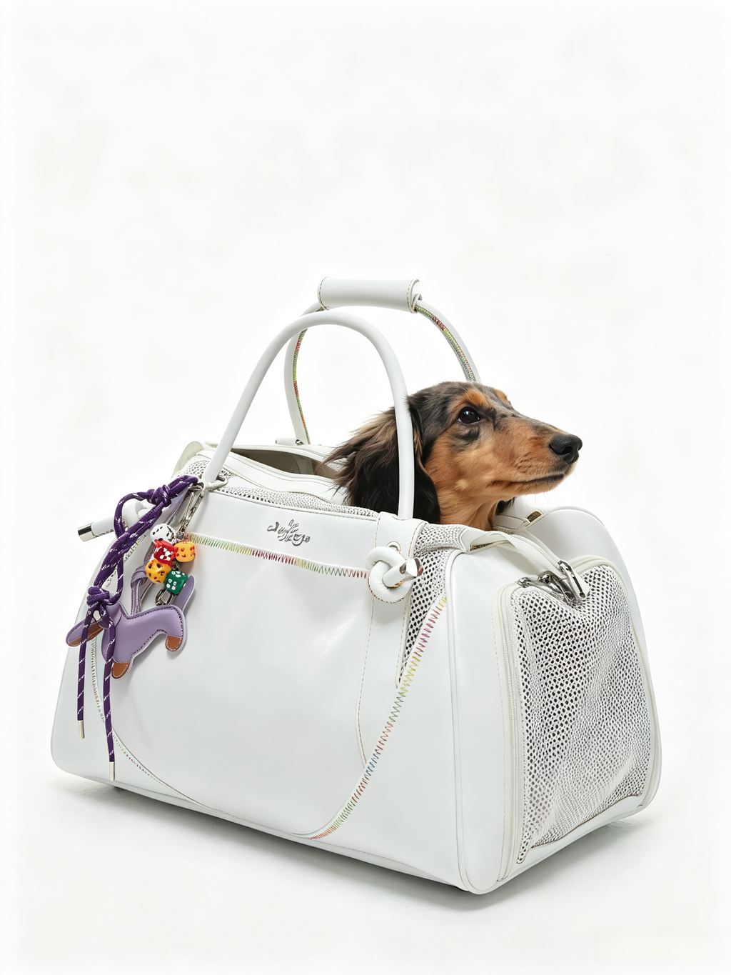 Fashionable And Portable Pet Air Travel Bag