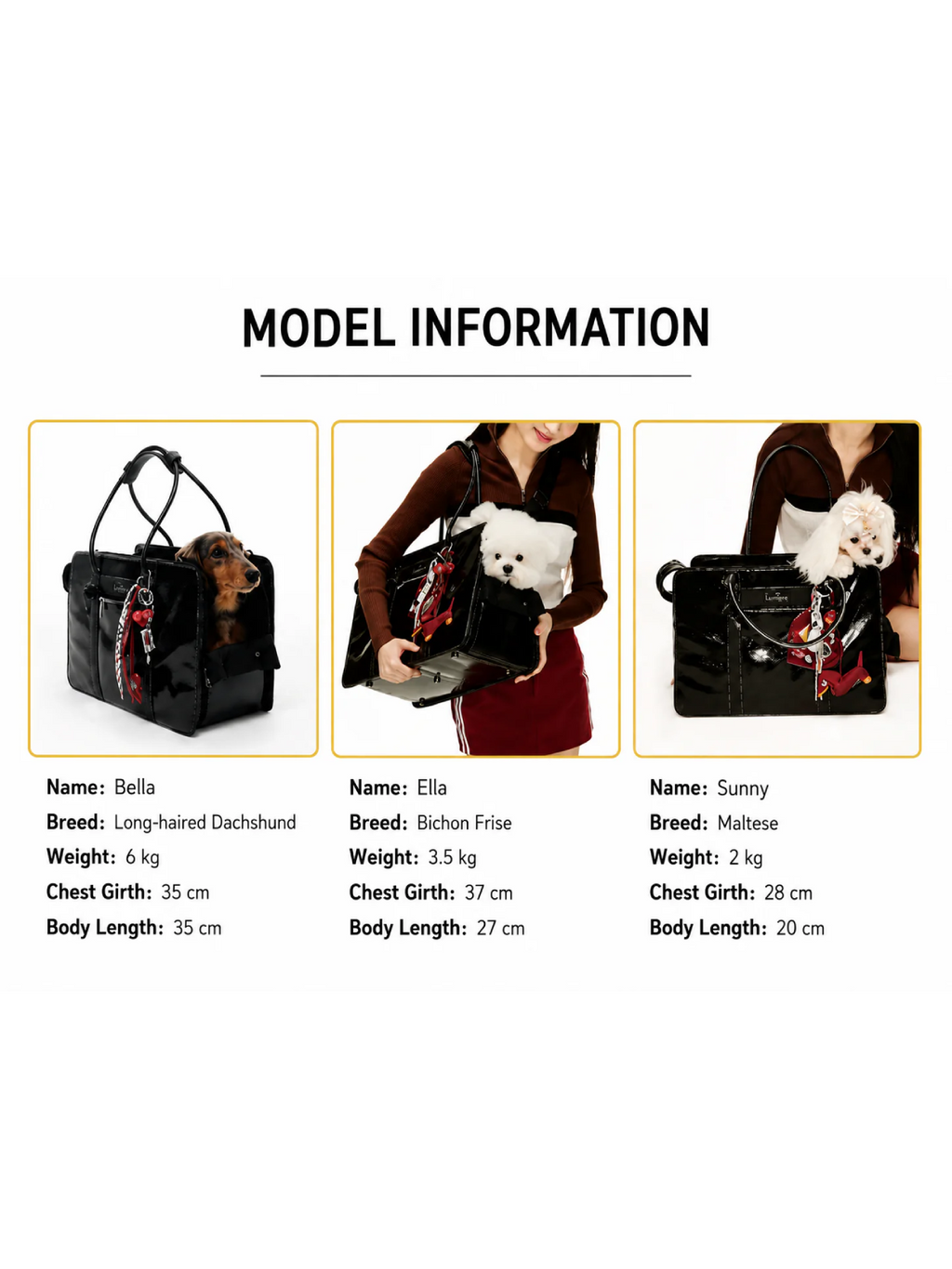 Fashionable Commuter Pet Briefcase