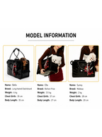 Fashionable Commuter Pet Briefcase