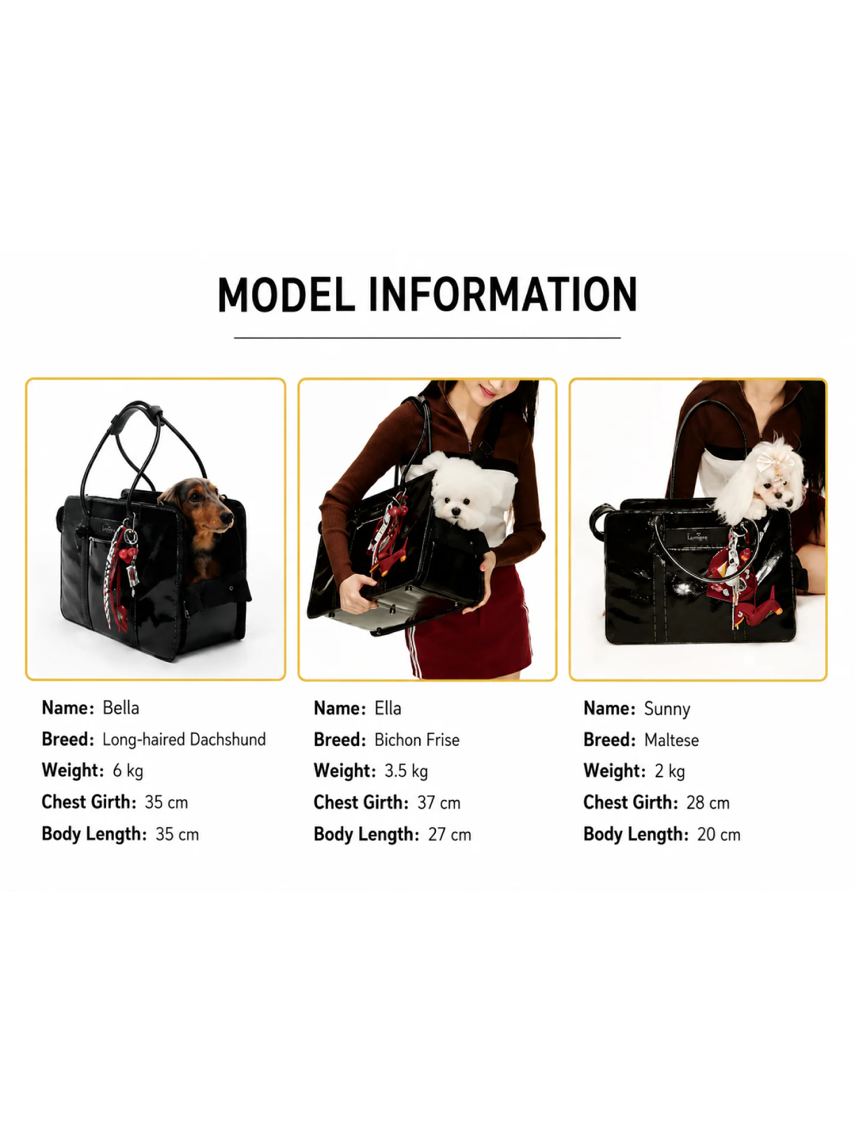 Fashionable Commuter Pet Briefcase
