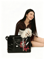 Fashionable Commuter Pet Briefcase