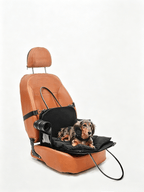 Fashionable Commuter Pet Briefcase