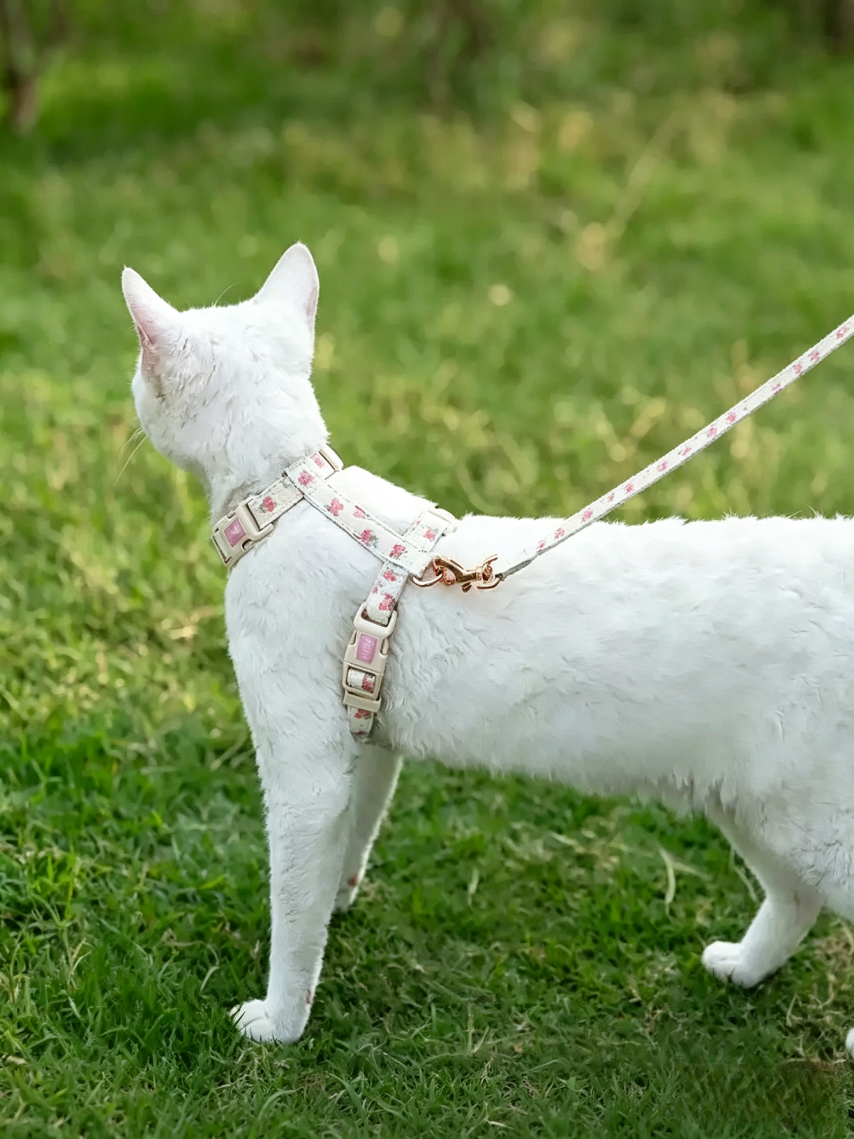 Floral Fun Stories Pure Cotton Cat Leash