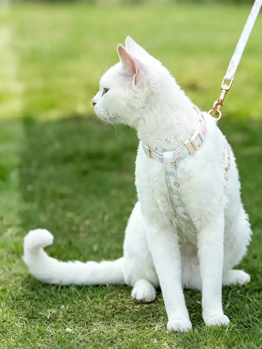 Floral Fun Stories Pure Cotton Cat Leash