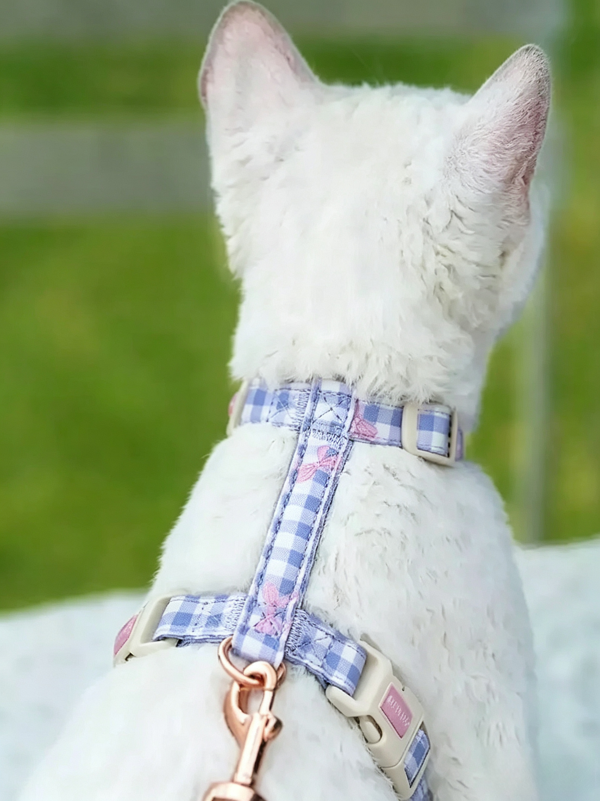 Floral Fun Stories Pure Cotton Cat Leash