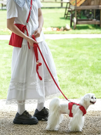 Flower Language Pet Care Chest and Back Leash