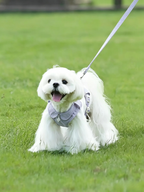 Flower Language Pet Care Chest and Back Leash