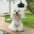 Foggy Powder Pet Sunscreen Clothing Upf100