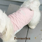 Foggy Powder Pet Sunscreen Clothing Upf100