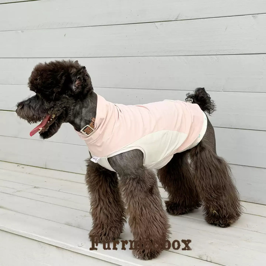 Foggy Powder Pet Sunscreen Clothing Upf100