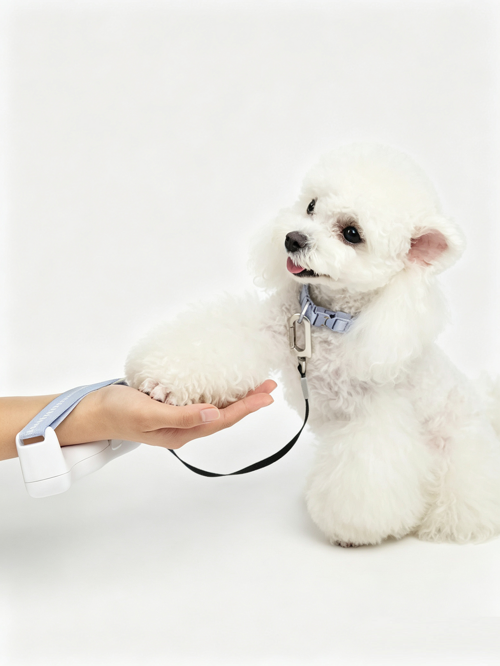 Hands-Free Retractable Leash