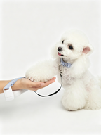 Hands-Free Retractable Leash