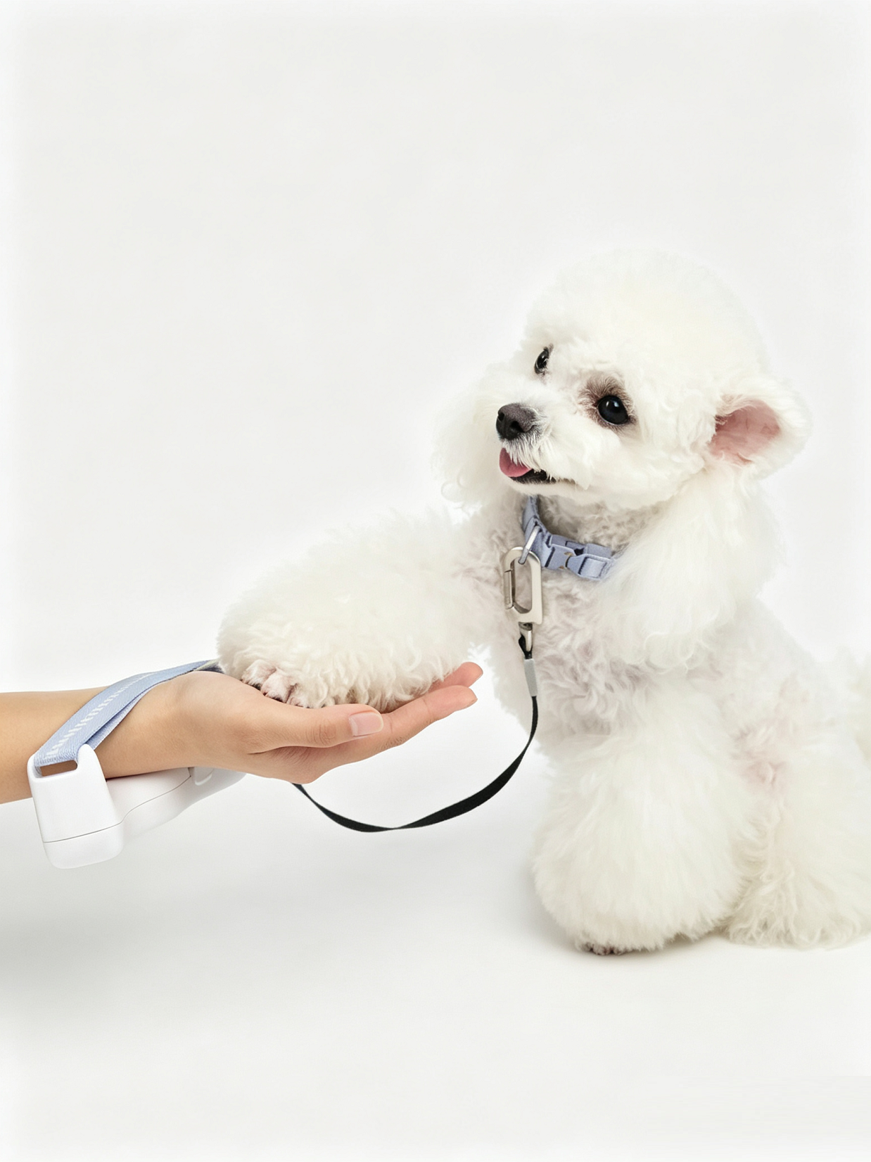 Hands-Free Retractable Leash