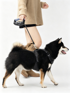 Hands-Free Retractable Leash