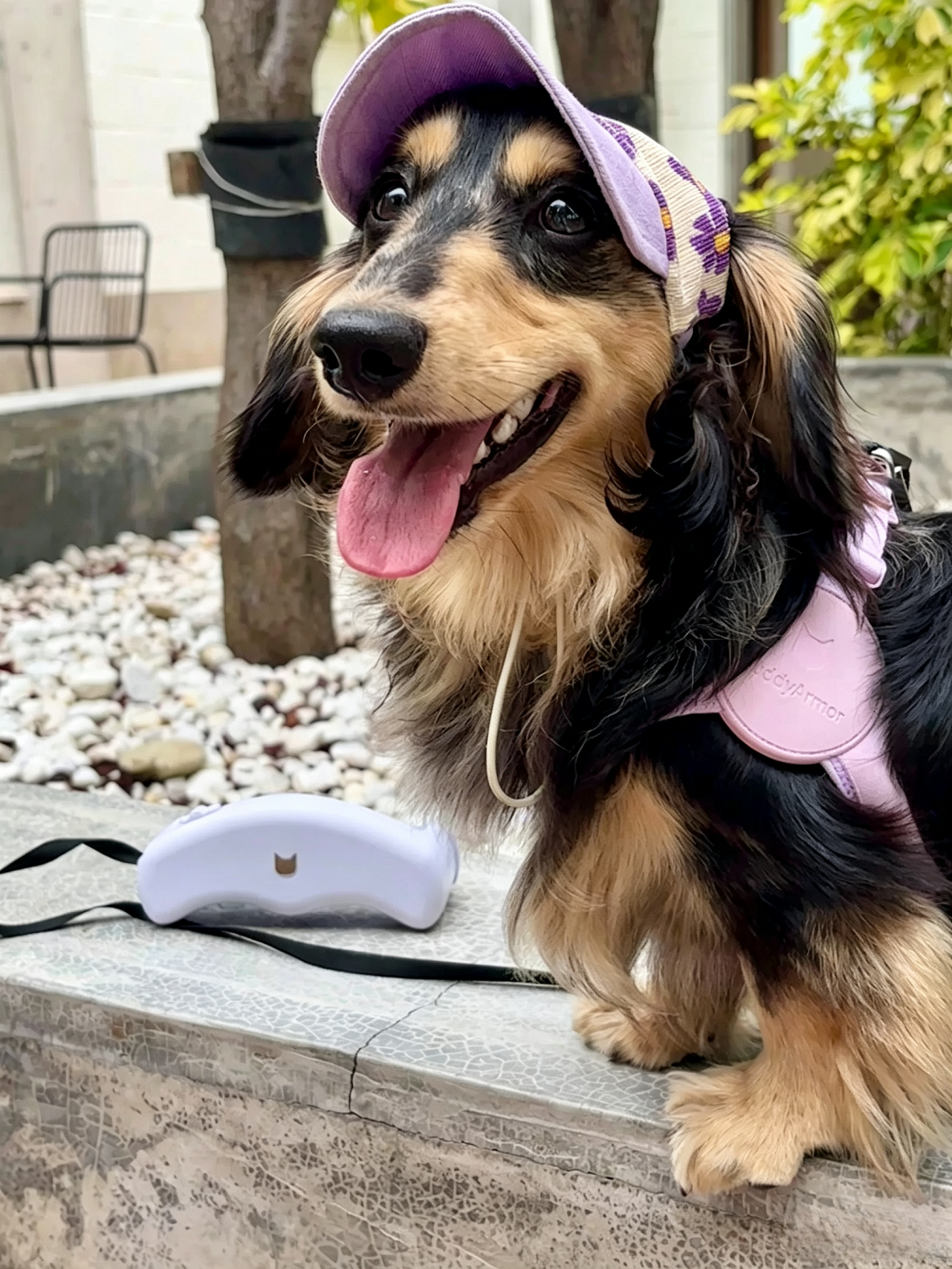 Hands-Free Retractable Leash