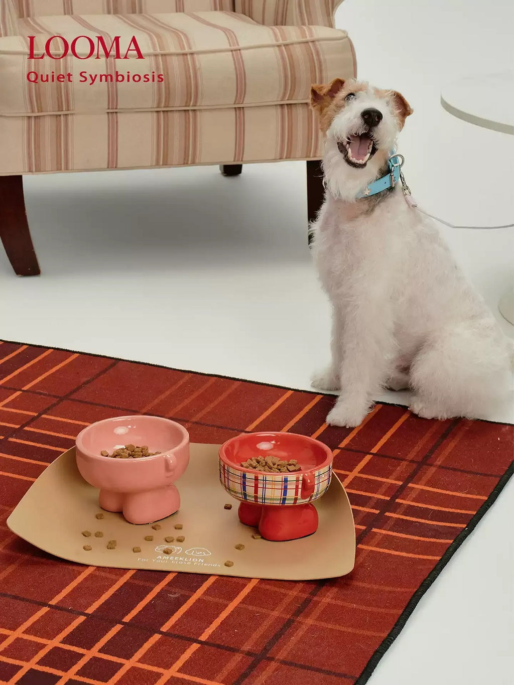High-Value Ceramic Pet Bowl With High Spine Protection