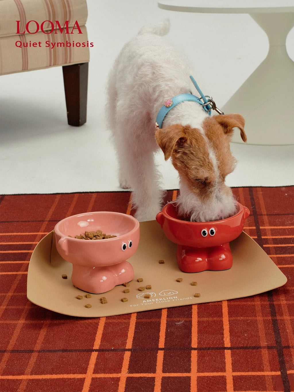 High-Value Ceramic Pet Bowl With High Spine Protection