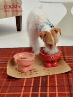 High-Value Ceramic Pet Bowl With High Spine Protection