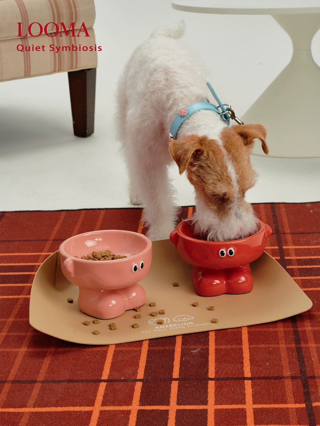 High-Value Ceramic Pet Bowl With High Spine Protection