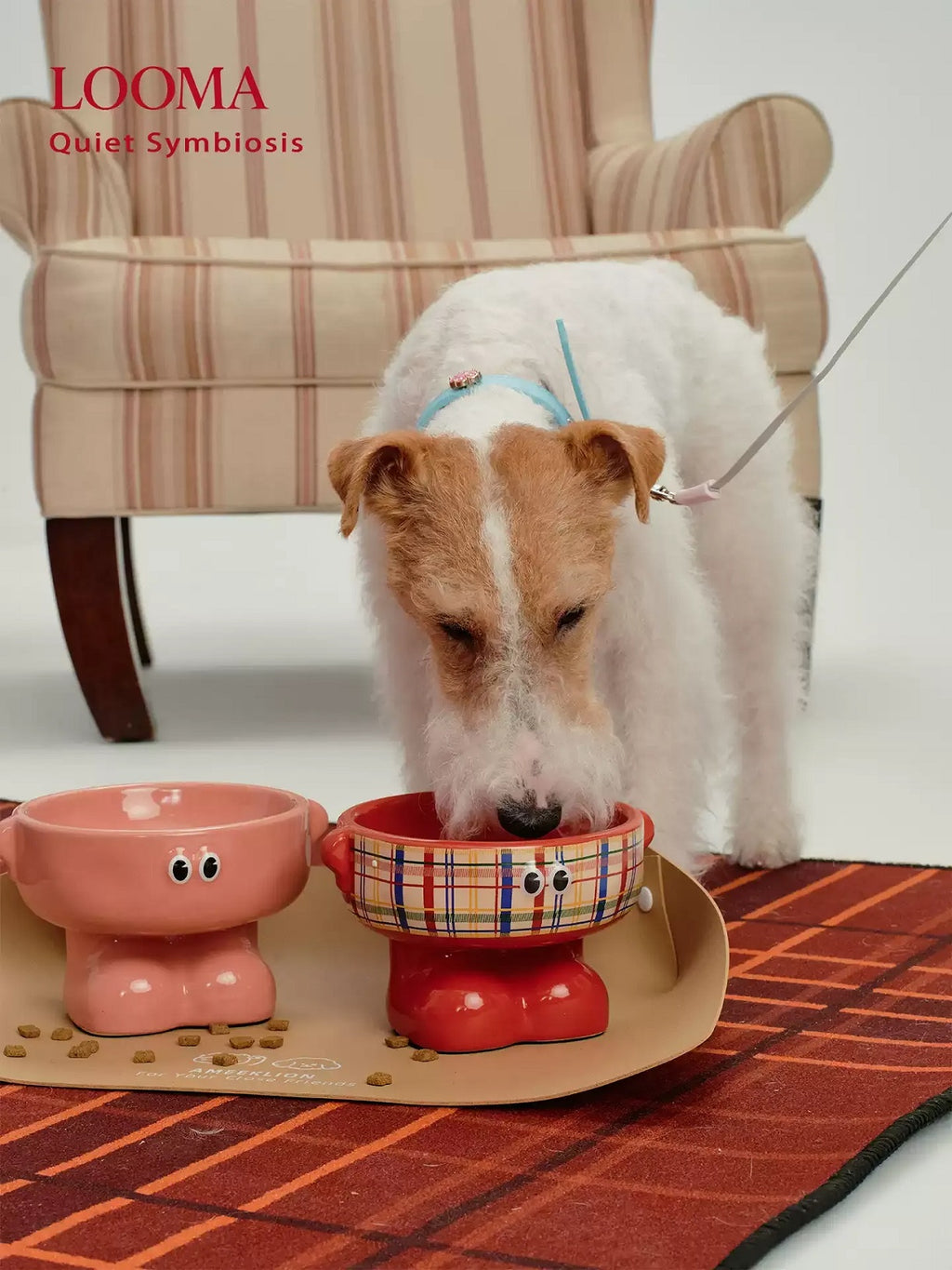 High-Value Ceramic Pet Bowl With High Spine Protection