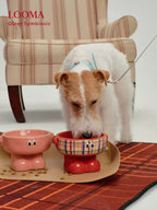 High-Value Ceramic Pet Bowl With High Spine Protection