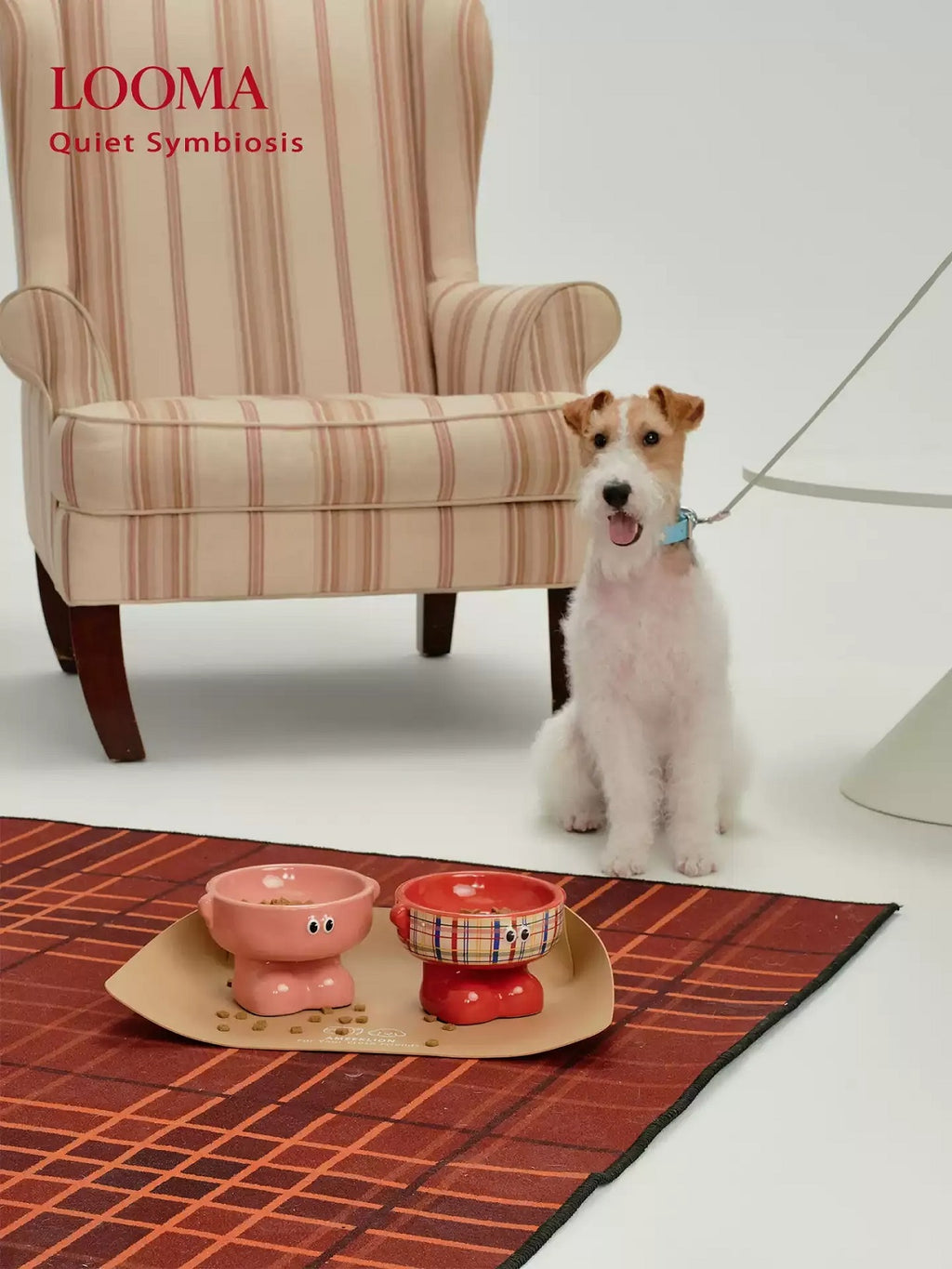 High-Value Ceramic Pet Bowl With High Spine Protection