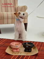 High-Value Ceramic Pet Bowl With High Spine Protection