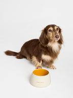 Honey Pot Dog Bowl