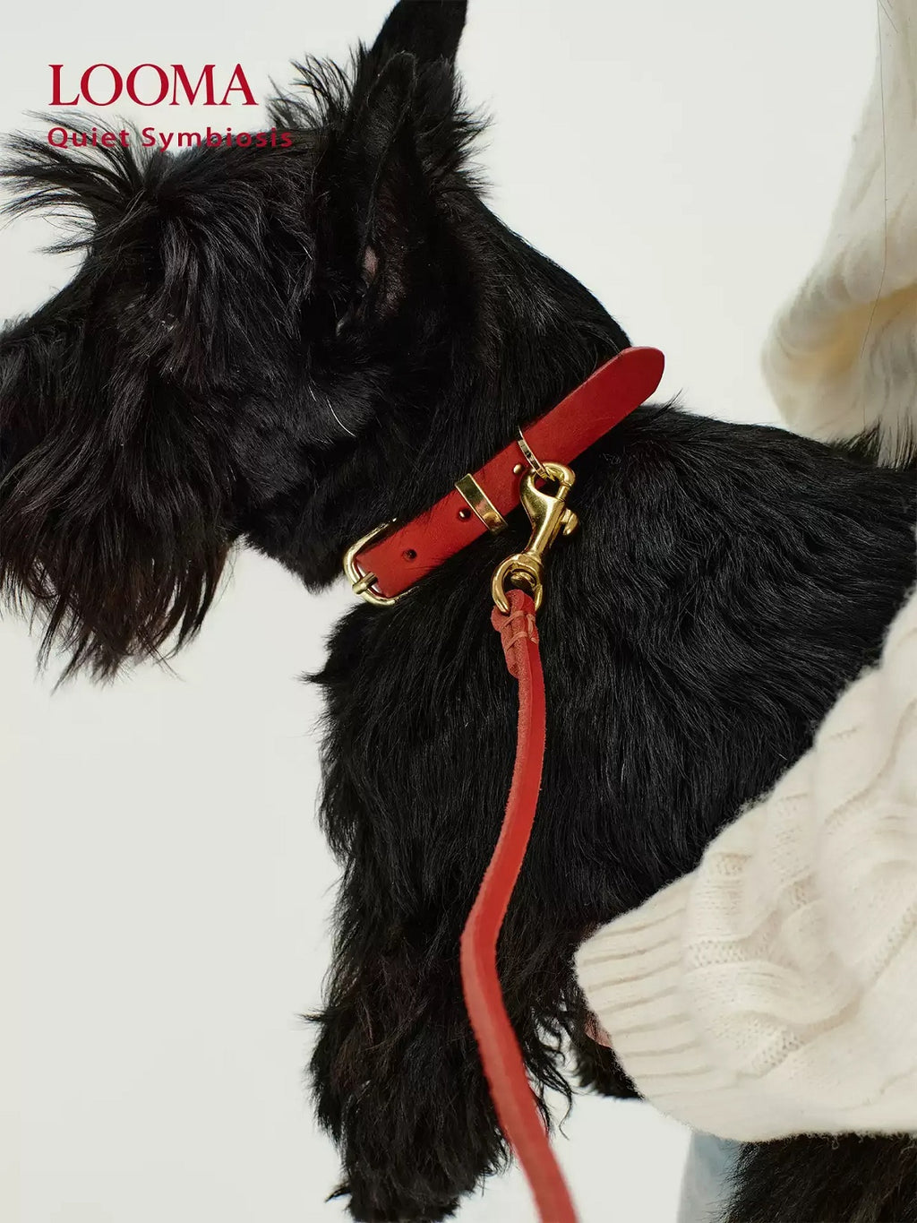 Imported Genuine Leather Pet Leash And Collar Set
