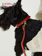 Imported Genuine Leather Pet Leash And Collar Set
