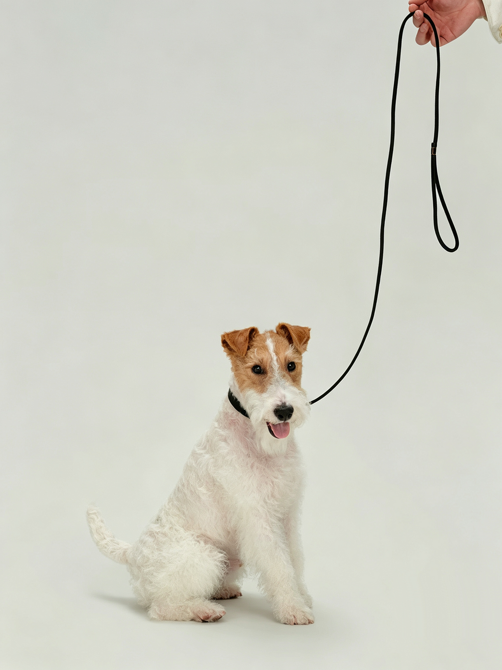 Imported Genuine Leather Pet Leash And Collar Set
