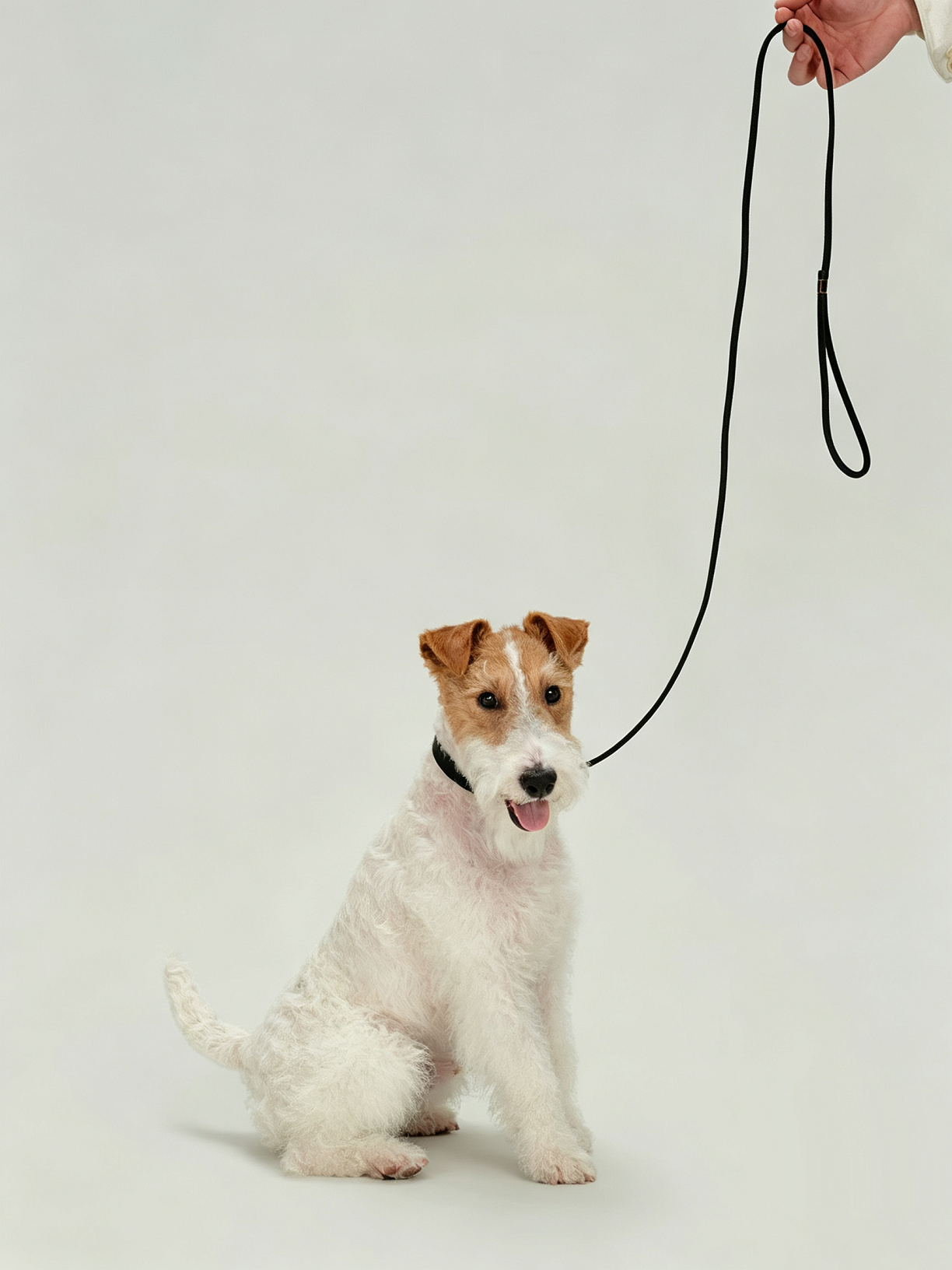 Imported Genuine Leather Pet Leash And Collar Set