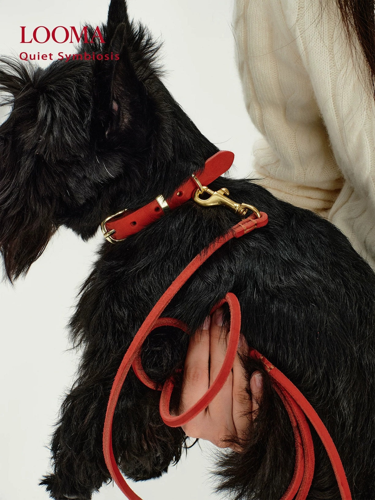 Imported Genuine Leather Pet Leash And Collar Set