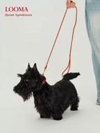Imported Genuine Leather Pet Leash And Collar Set