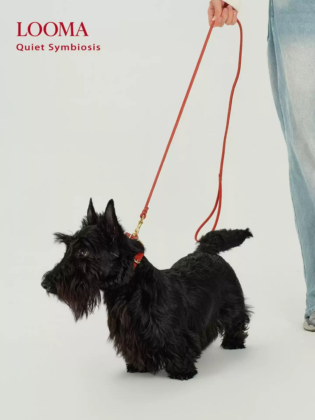 Imported Genuine Leather Pet Leash And Collar Set