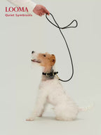 Imported Genuine Leather Pet Leash And Collar Set
