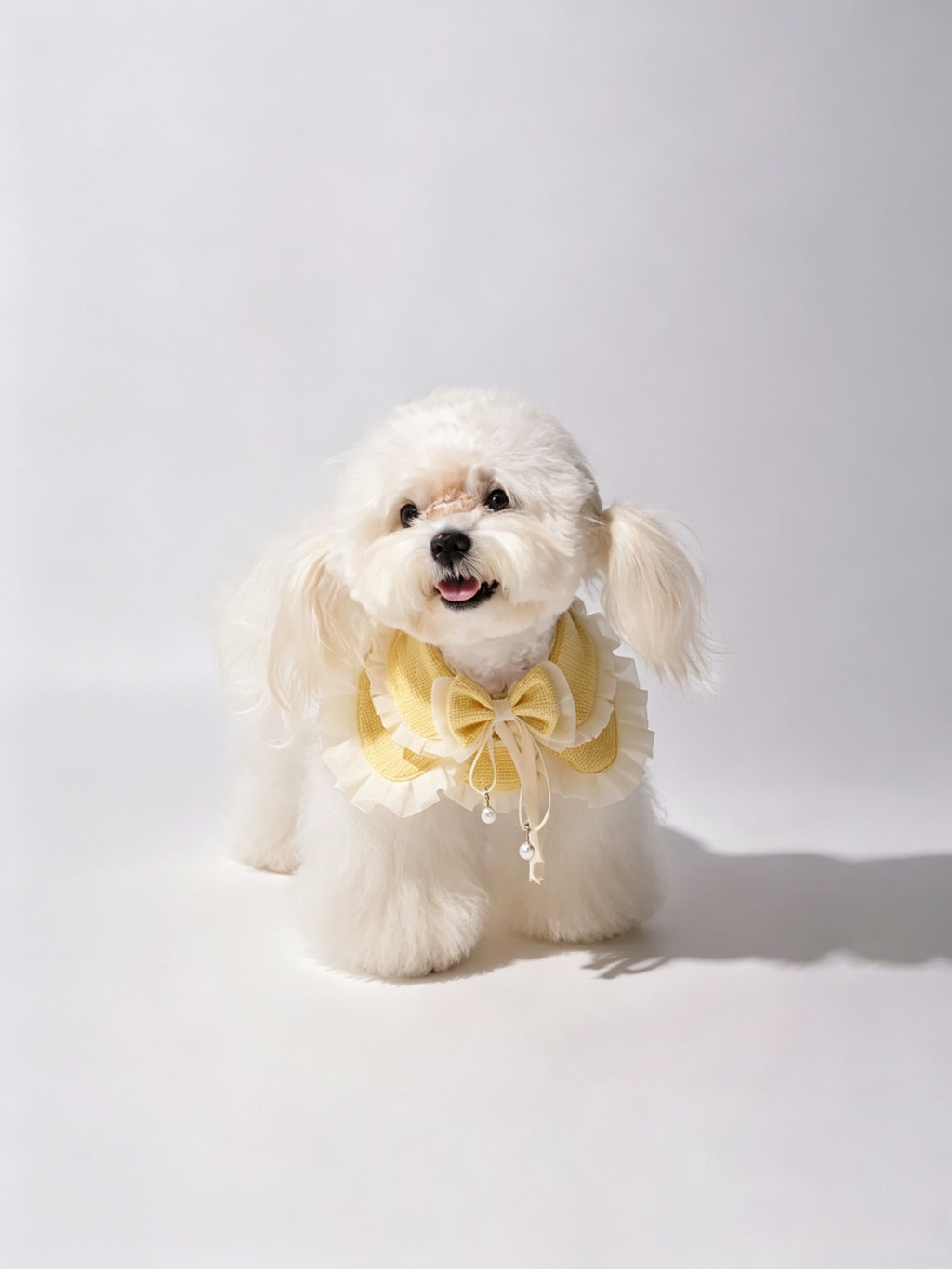 Écharpe pour animaux de compagnie Bandana pour animaux de compagnie