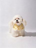 Écharpe pour animaux de compagnie Bandana pour animaux de compagnie