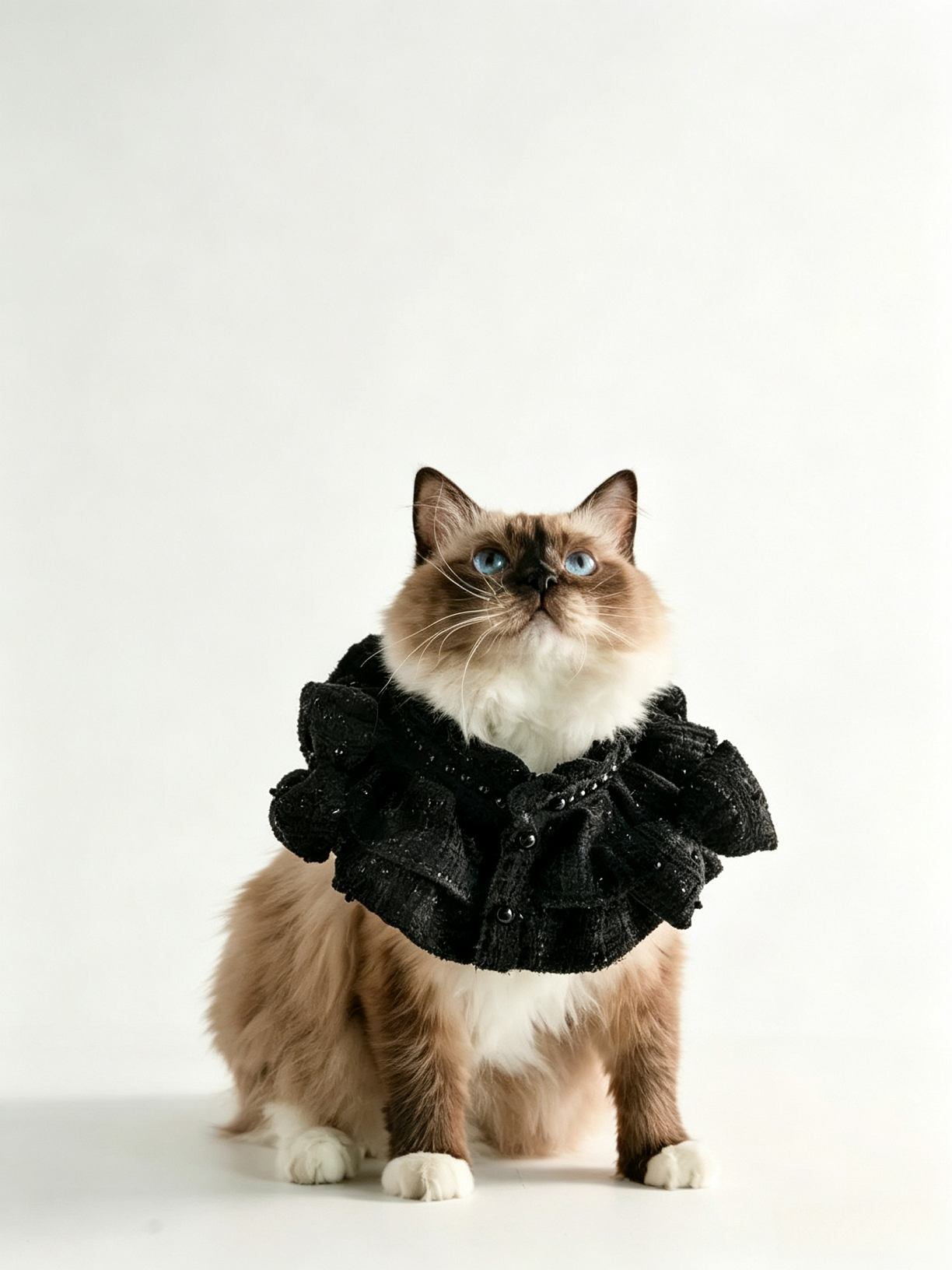 Sciarpa per animali Bandana per animali