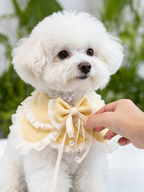 Écharpe pour animaux de compagnie Bandana pour animaux de compagnie
