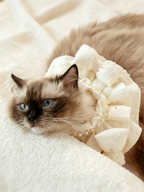 Écharpe pour animaux de compagnie Bandana pour animaux de compagnie