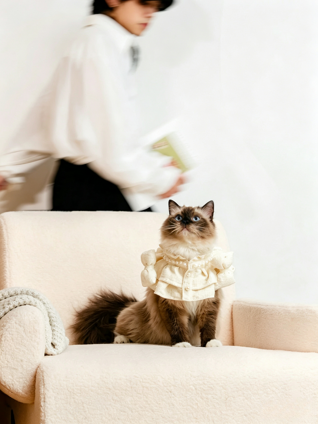 Écharpe pour animaux de compagnie Bandana pour animaux de compagnie